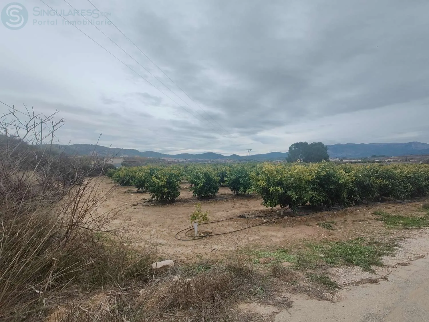 Comprar terreno de 5176m² en Pliego