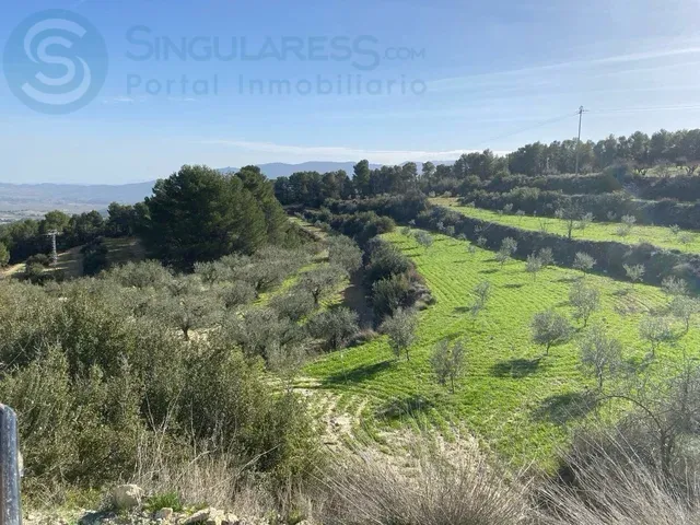 Comprar terreno de 138600m² en Mula