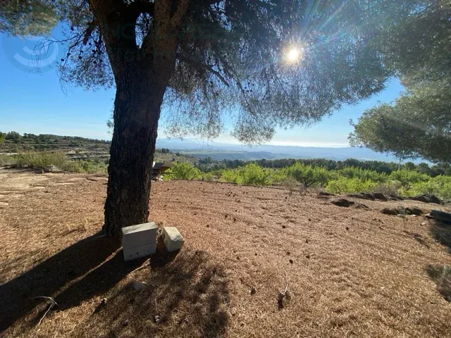 Comprar terreno de 138600m² en Mula