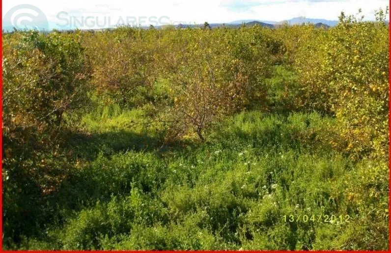 Comprar terreno de 1258m² en Murcia