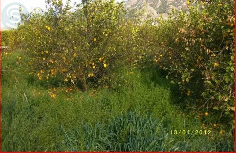 Comprar terreno de 1258m² en Murcia