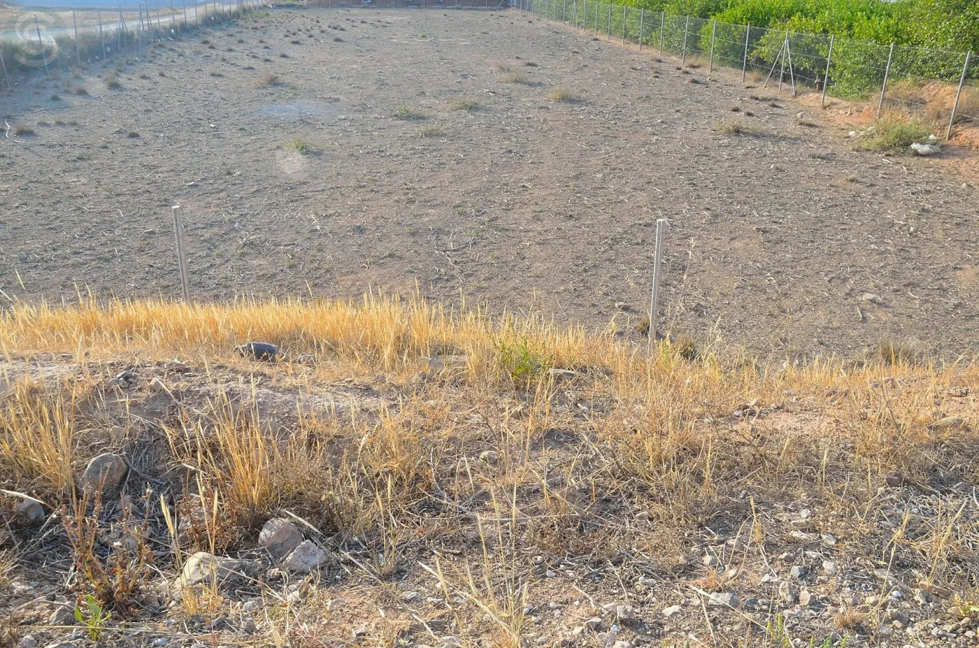 Comprar terreno de 2000m² en Fortuna