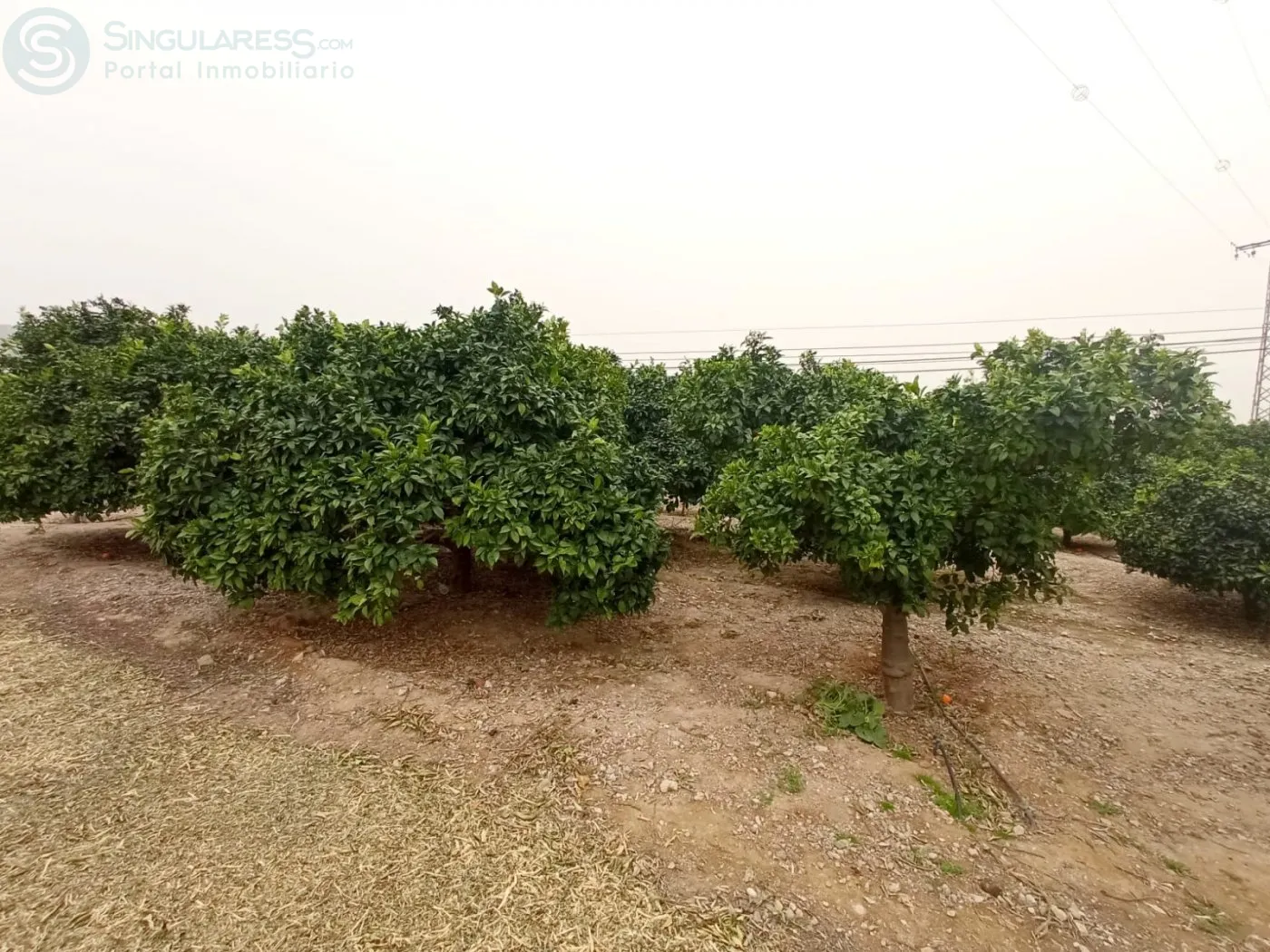 Comprar terreno de 5100m² en Santomera