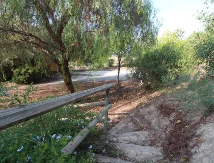 Comprar casa de 21026m² en Mula