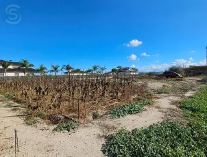 PARCELA RÚSTICA EN VENTA (ORILLA DEL AZARBE / SANTOMERA)