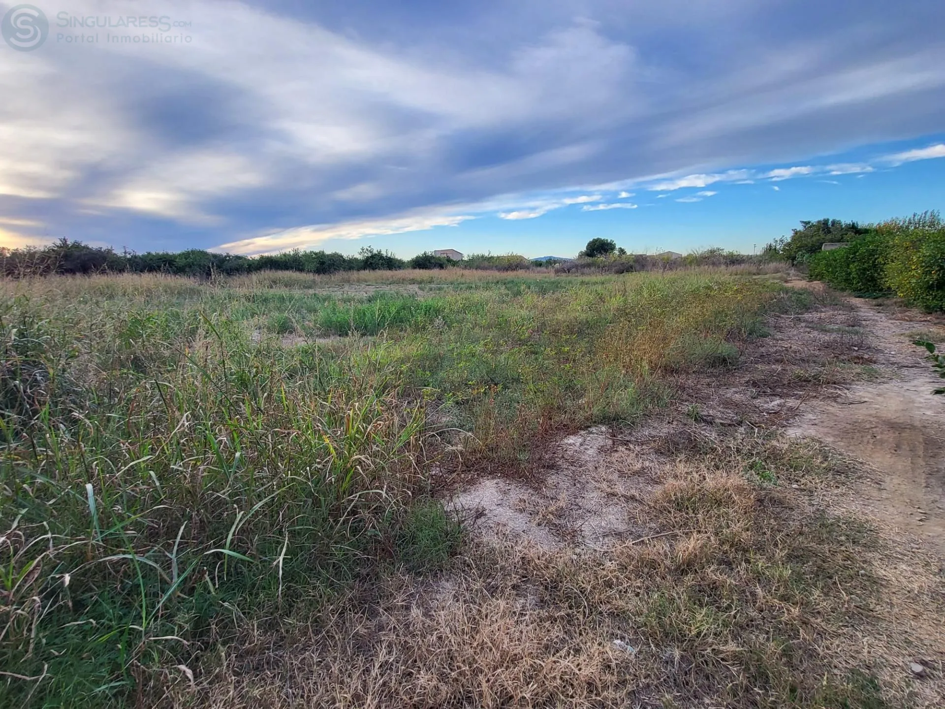 Comprar terreno de 3600m² en Murcia