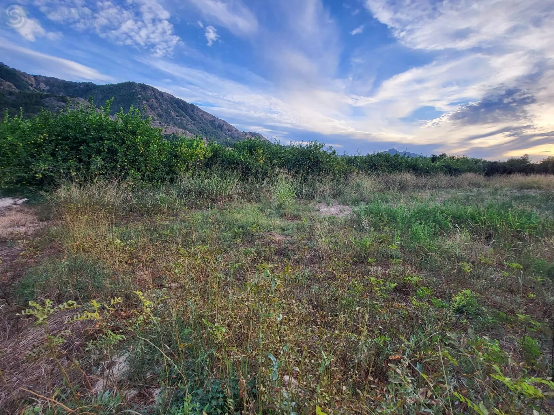 Comprar terreno de 3600m² en Murcia