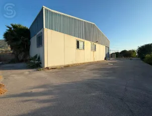 Amplio Almacén con Fincas de Limoneros en Torreaguera