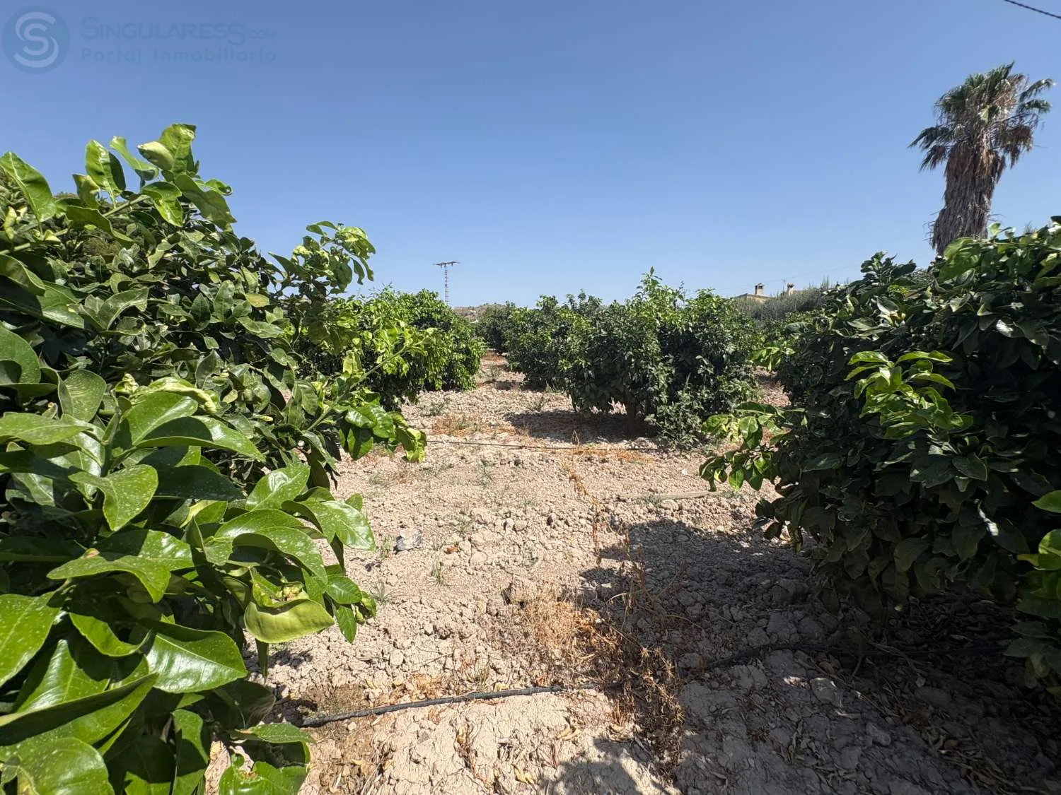 Comprar terreno de 5687m² en Mula