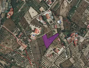 Terreno en Pliego (Murcia) 