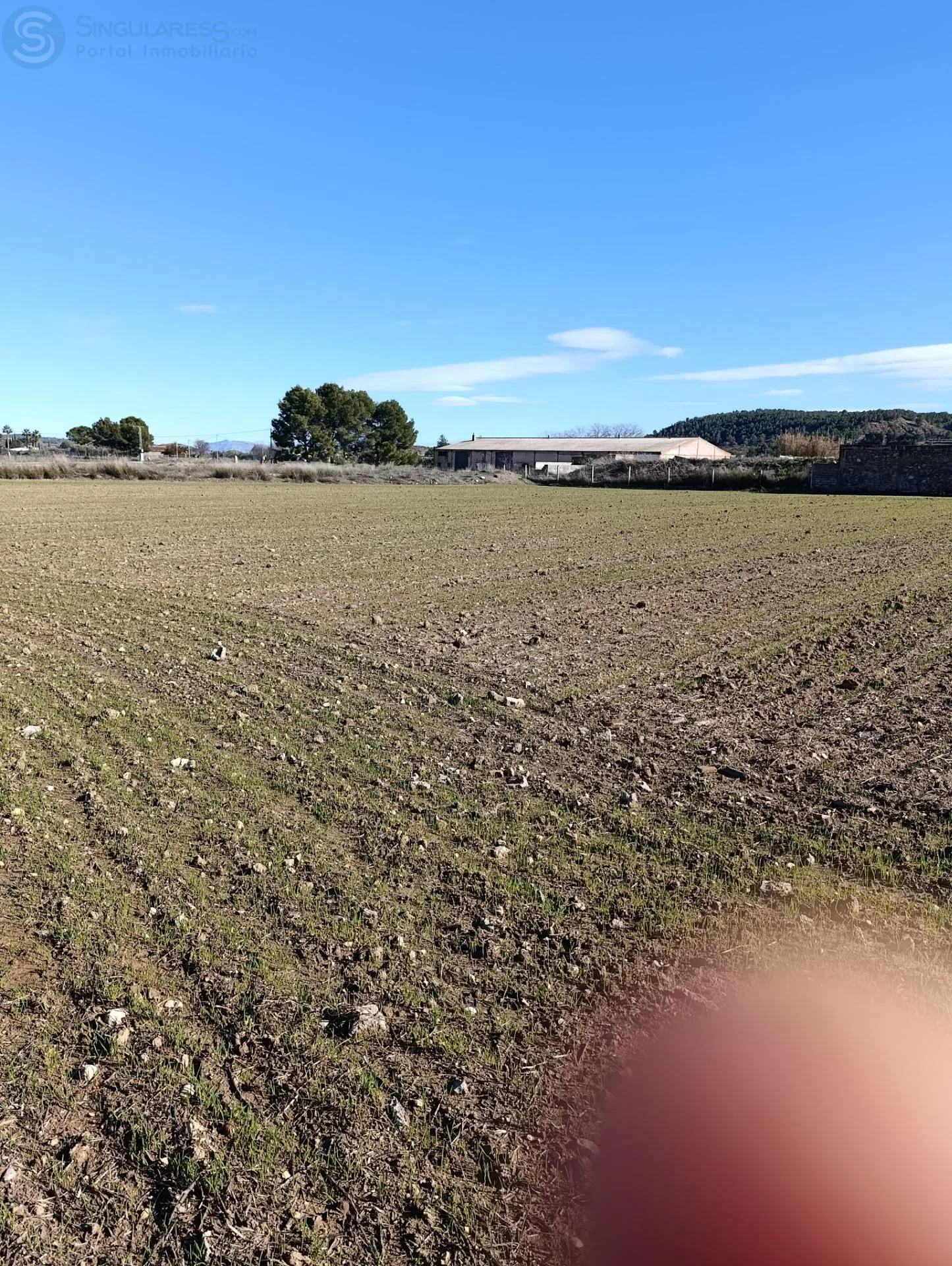 Comprar terreno en Cehegín