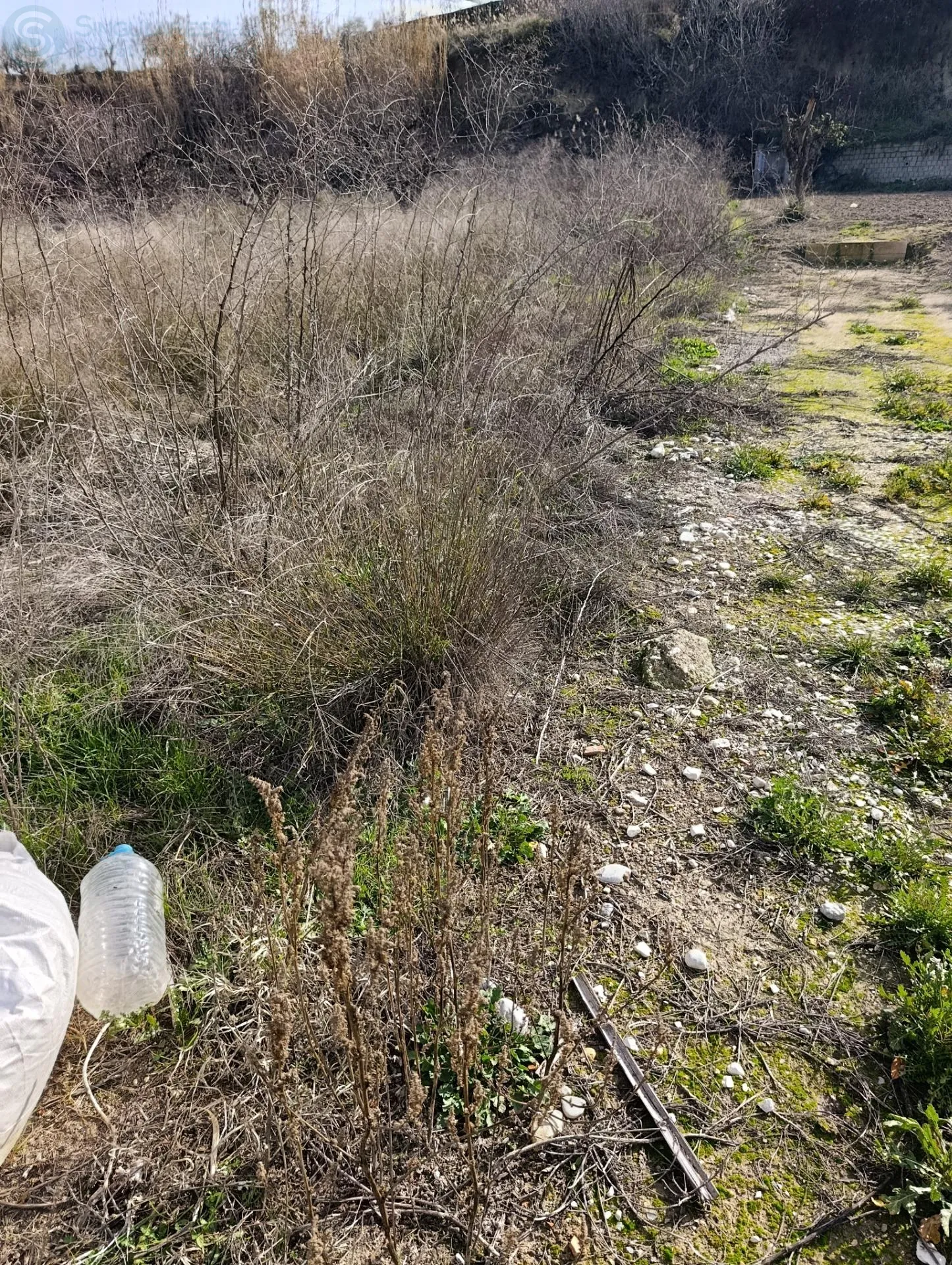 Comprar terreno de 2886m² en Cehegín