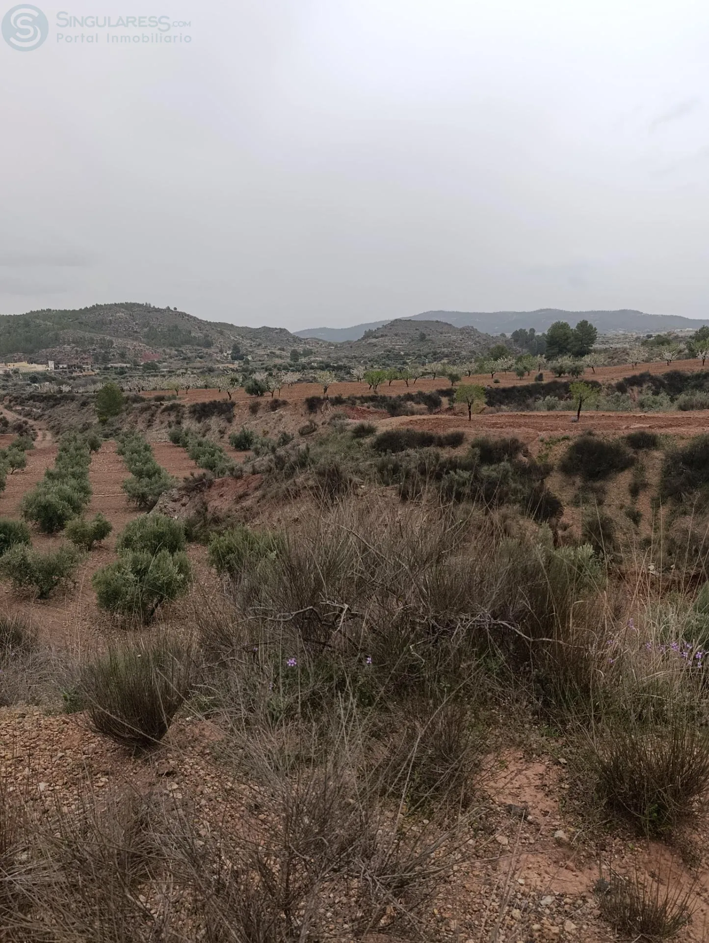 Comprar terreno de 88m² en Bullas