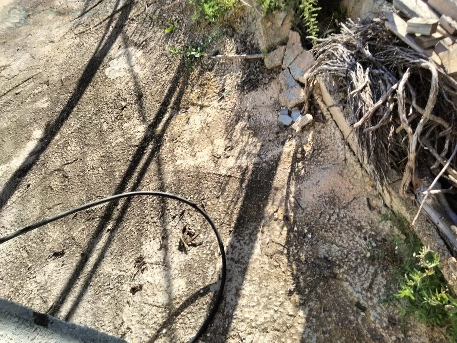 Comprar terreno de 600m² en Bullas