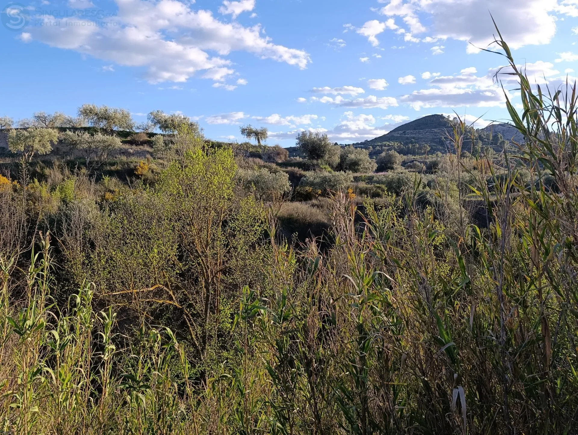 Comprar terreno de 3600m² en Cehegín