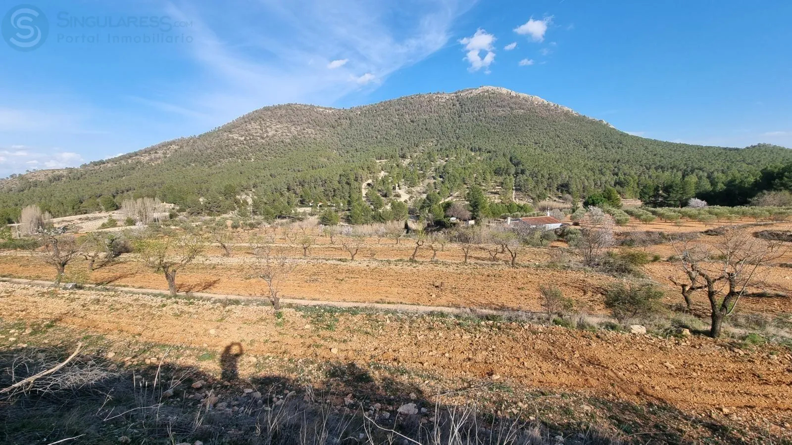 Comprar terreno en Calle UCENDA POLIGONO 16 PARCELAS 97 Y 98 nº SIN NUMER en Bullas