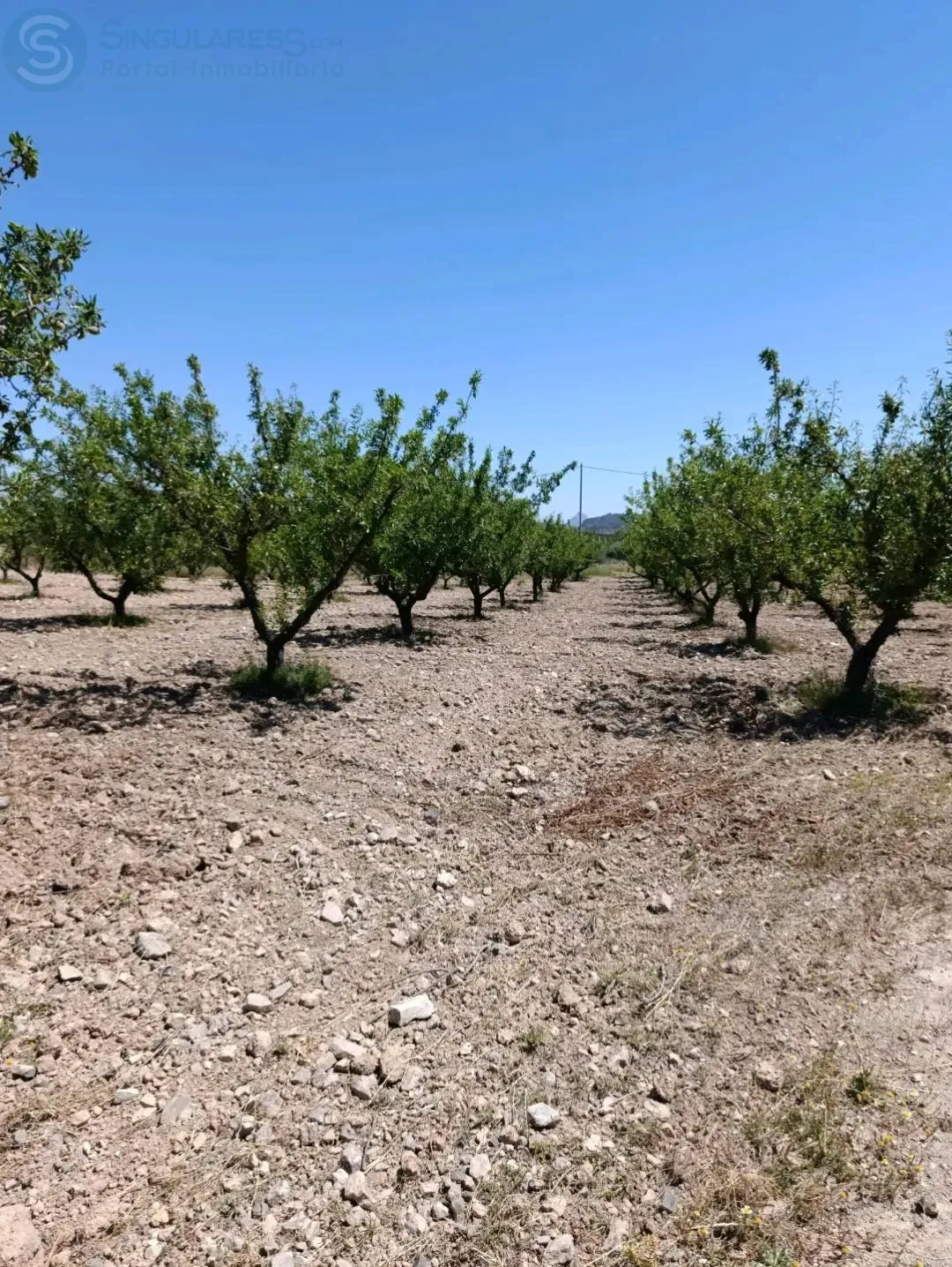 Comprar terreno de 6681m² en Cehegín