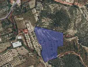Terreno en Pliego (Murcia) 