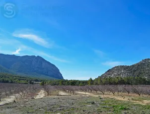 Casa de Campo en Mula (Murcia) 