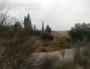 ¡Tu parcela de recreo o cultivo en La Albarda, a un paso de Murcia!