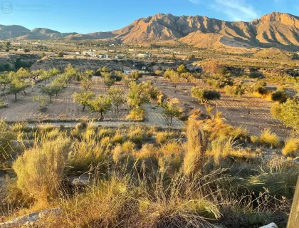Comprar terreno de 5590m² en Abanilla