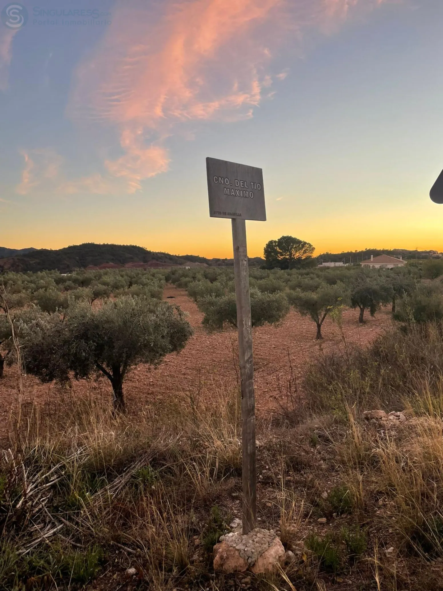 Comprar terreno de 5591m² en Abanilla