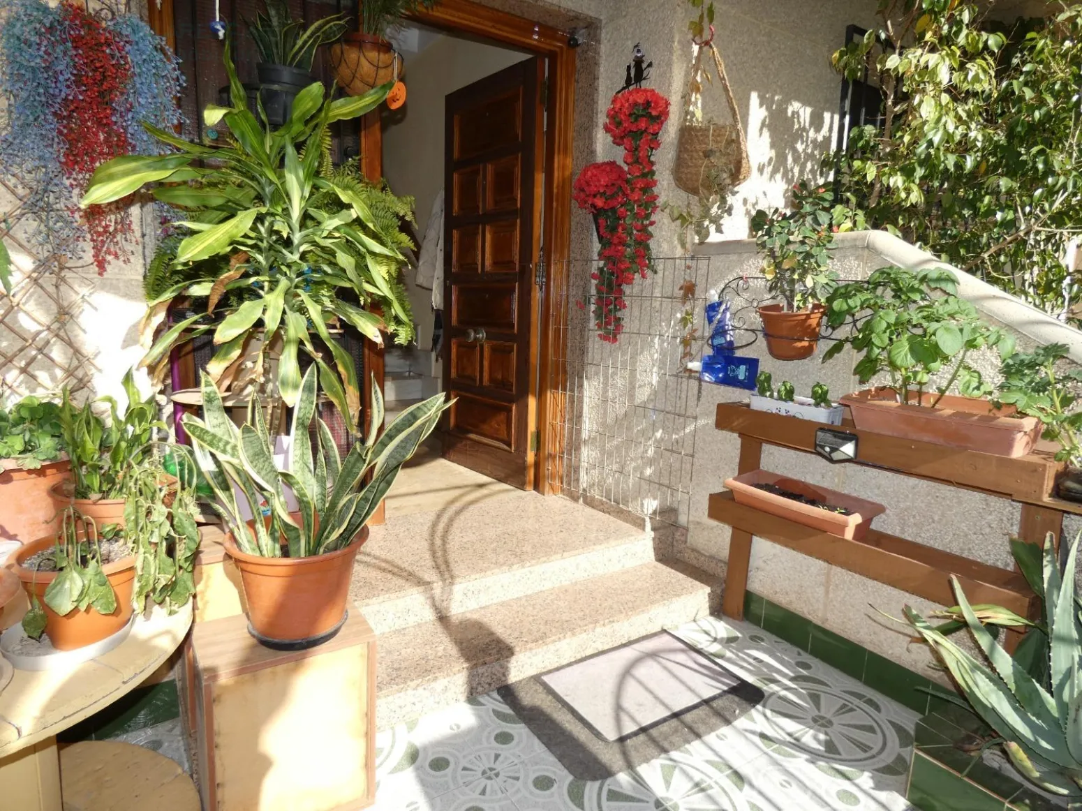 Comprar casa en El Palmar (Murcia)