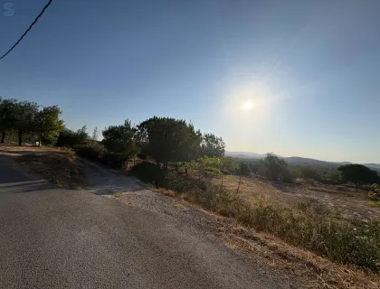 Comprar terreno de 5546m² en Pliego