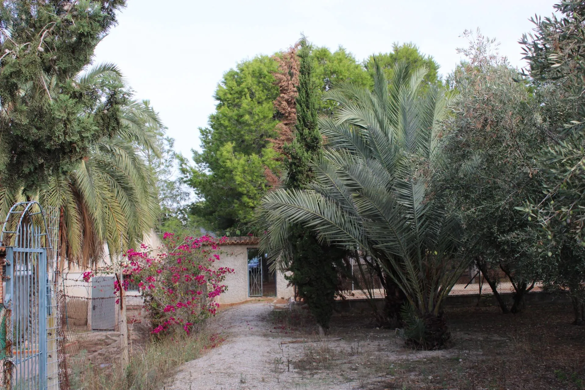 Comprar terreno de 1075m² en Molina de Segura