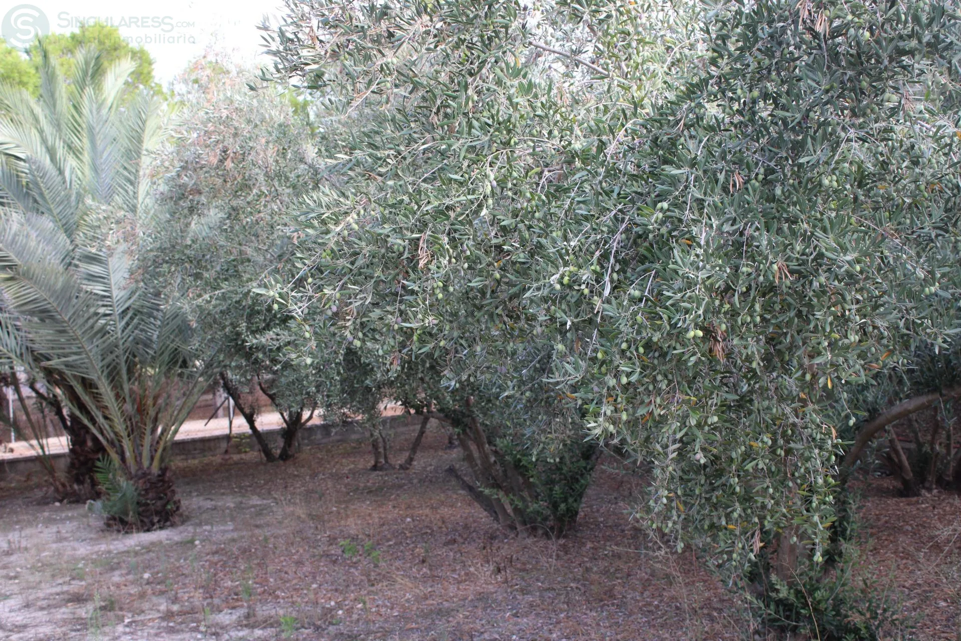 Comprar terreno de 1075m² en Molina de Segura