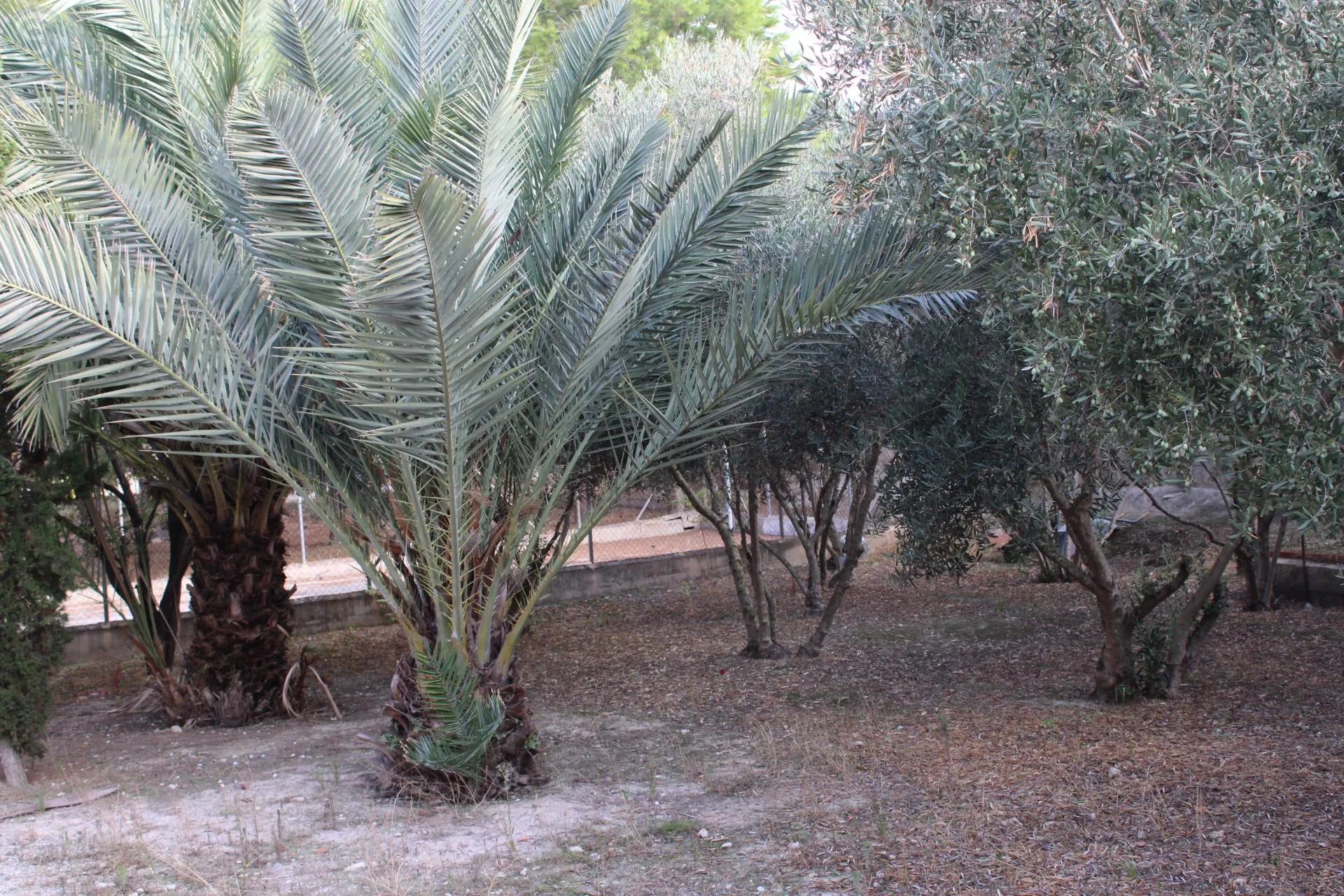 Comprar terreno de 1075m² en Molina de Segura