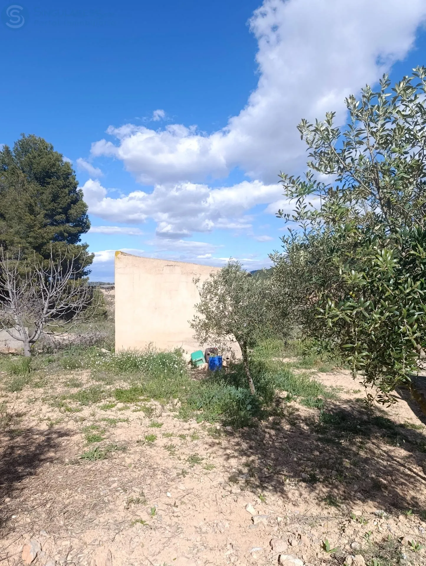 Comprar terreno de 80000m² en Molina de Segura
