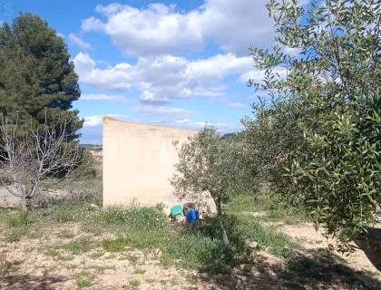 Comprar terreno de 80000m² en Molina de Segura