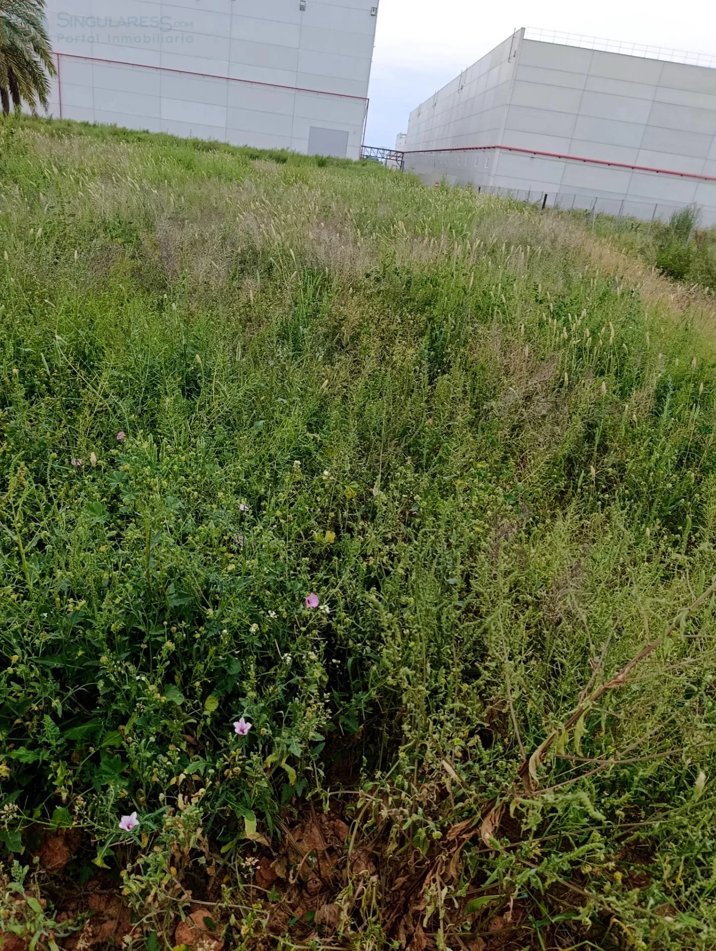 Comprar terreno de 10000m² en Fortuna