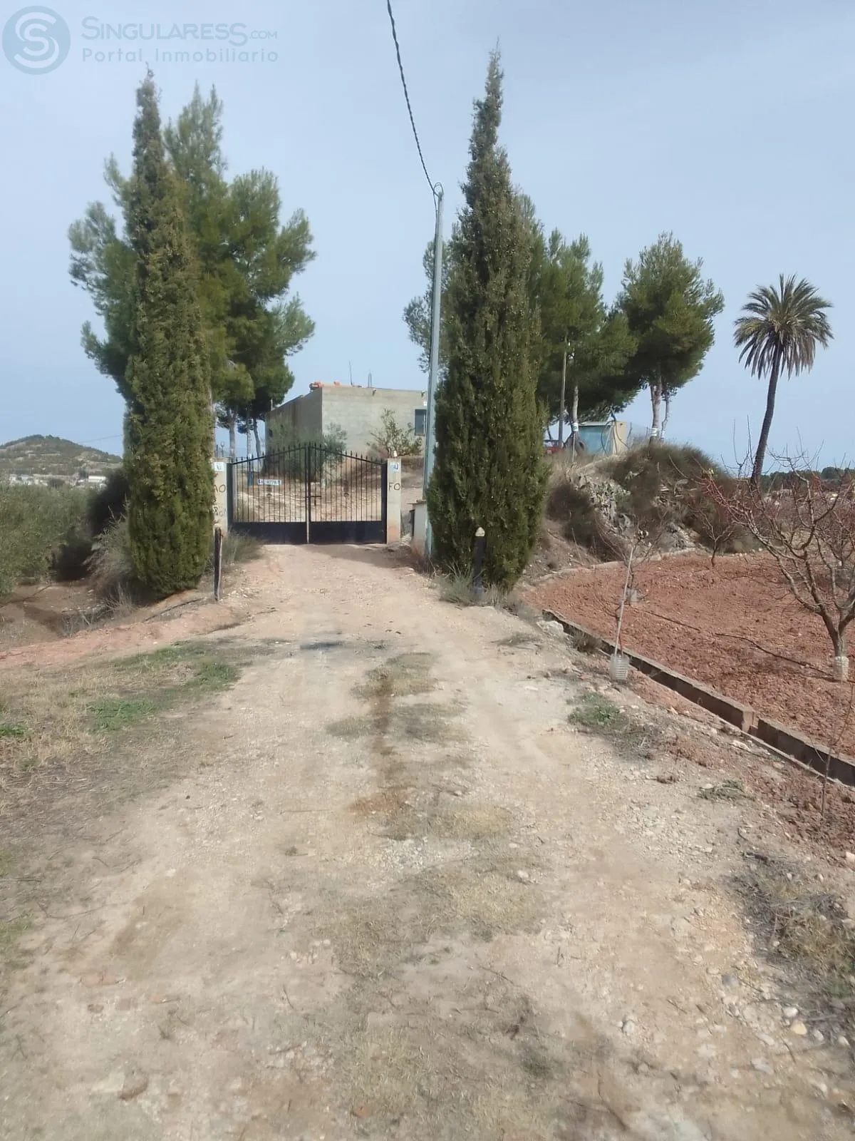 Comprar casa de 40150m² en Cehegín