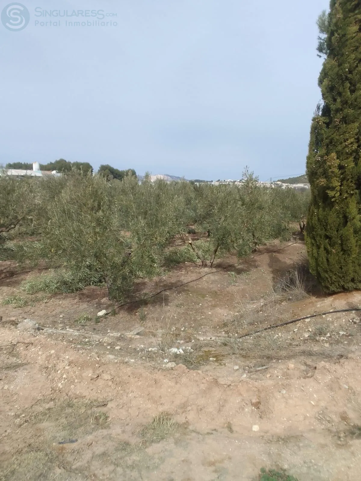 Comprar casa de 40150m² en Cehegín