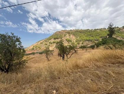 Comprar terreno de 2766m² en Pliego