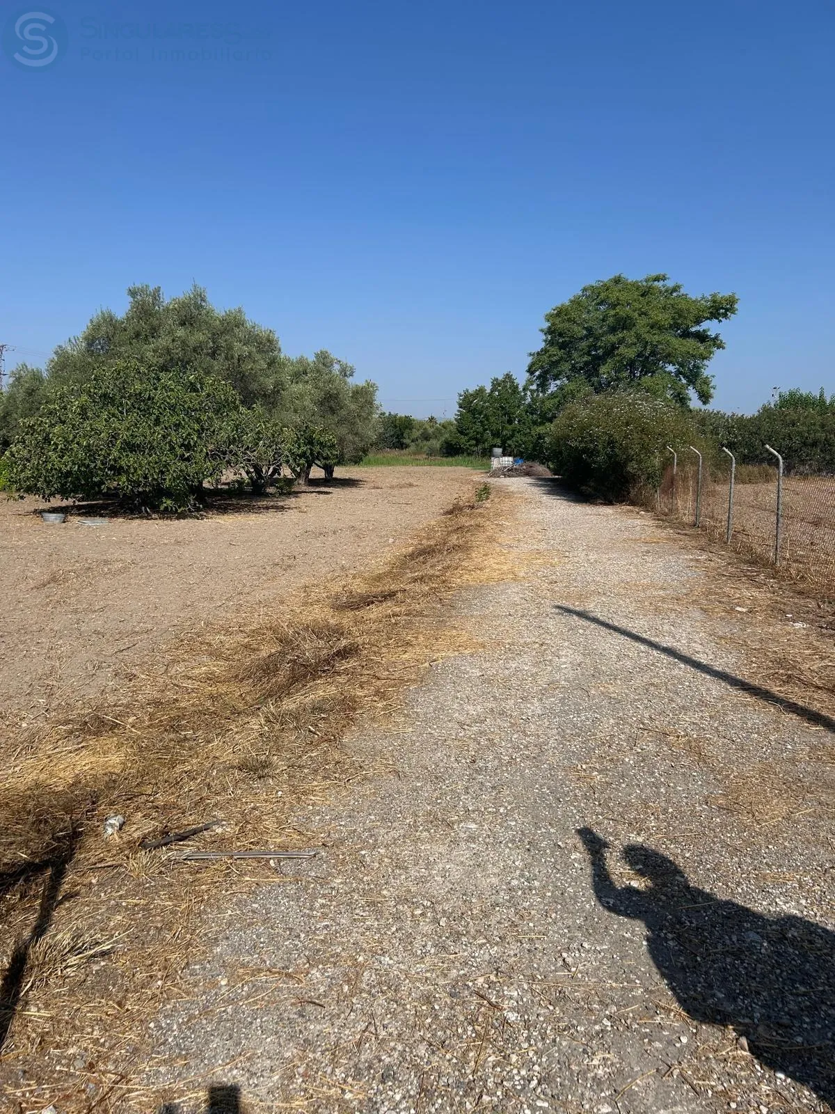 Comprar casa de 2000m² en Molina de Segura
