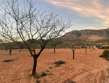 Comprar terreno de 7045m² en Abanilla