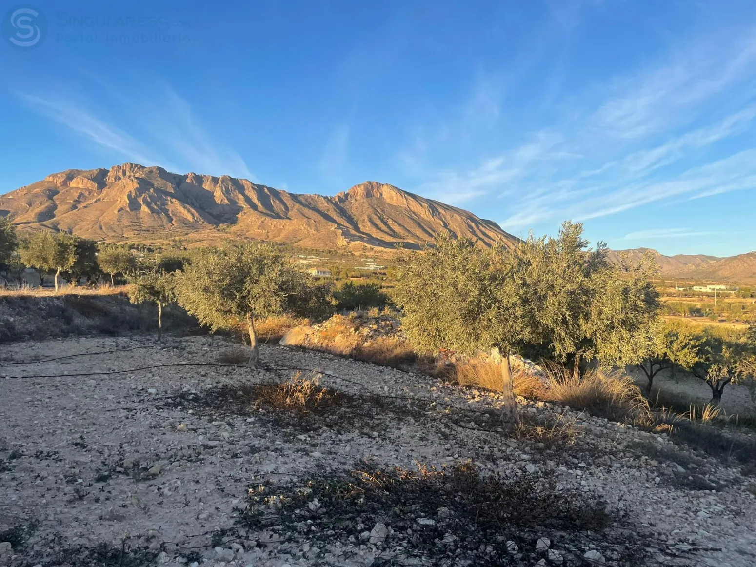Comprar terreno en Casas de Don Juan Albert (Abanilla)