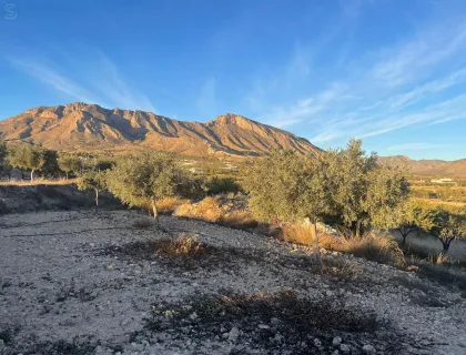 Comprar terreno de 5590m² en Abanilla