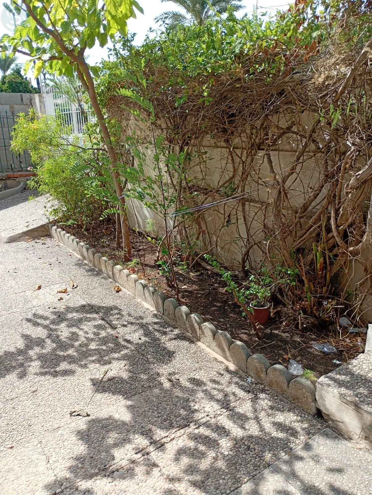 Comprar piso en Calle PUNTA BRAVA - URRUTIAS nº 22 en Cartagena