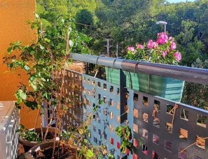 Alquilar piso de 44m² en Murcia