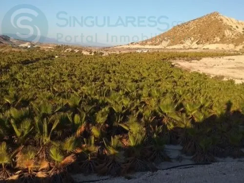 Comprar terreno de 35140m² en Fortuna