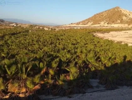 Comprar terreno de 35140m² en Fortuna