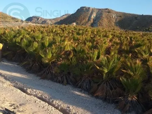 Comprar terreno de 35140m² en Fortuna