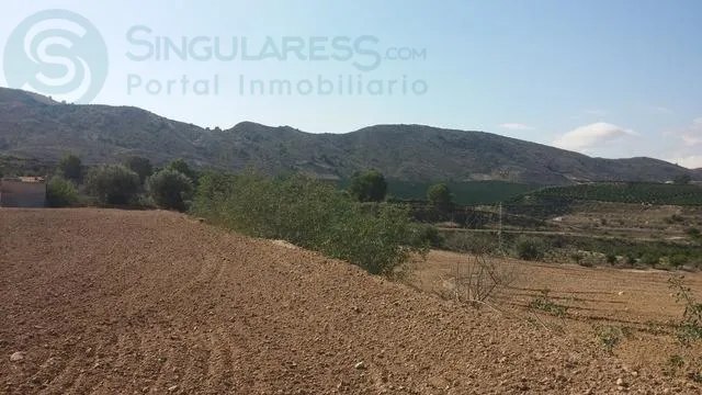 Comprar terreno de 25020m² en Orihuela
