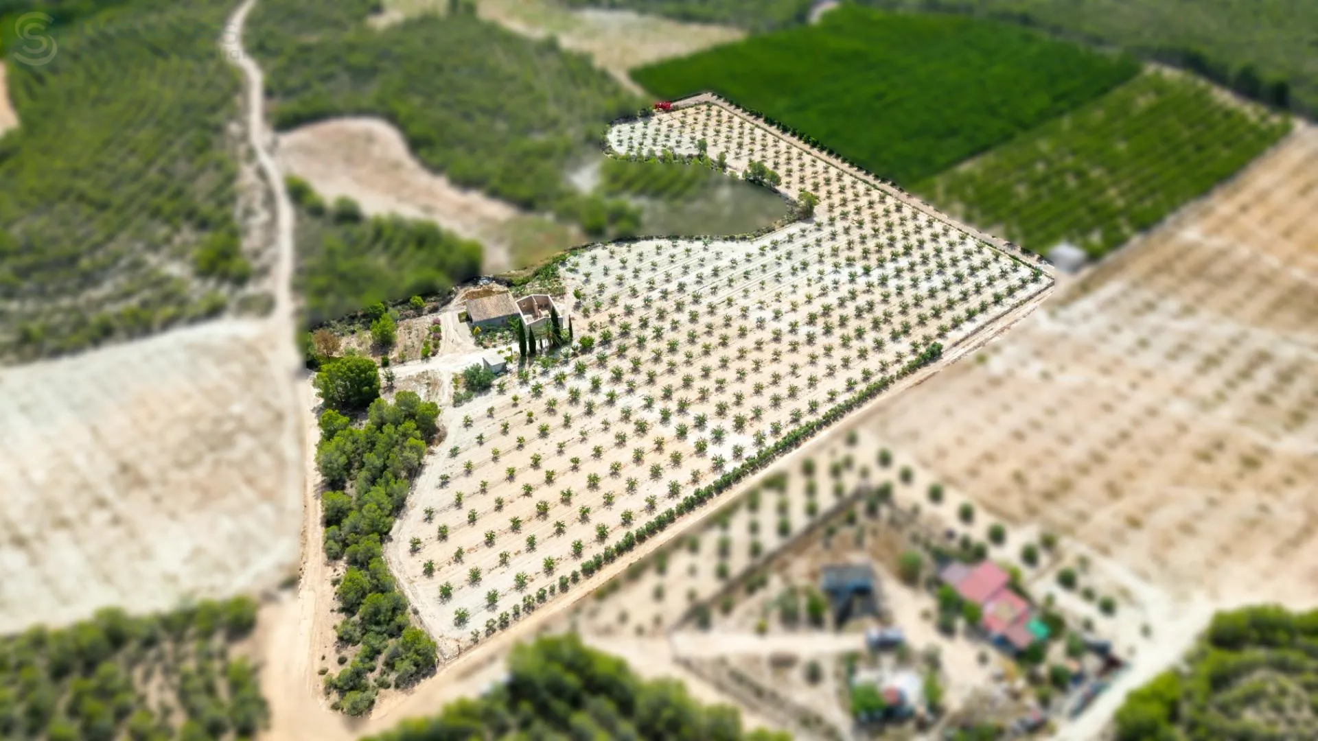 Comprar casa de 12200m² en Cieza