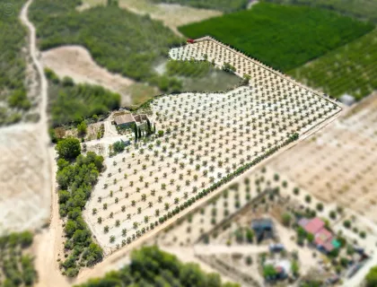 Comprar casa de 12200m² en Cieza