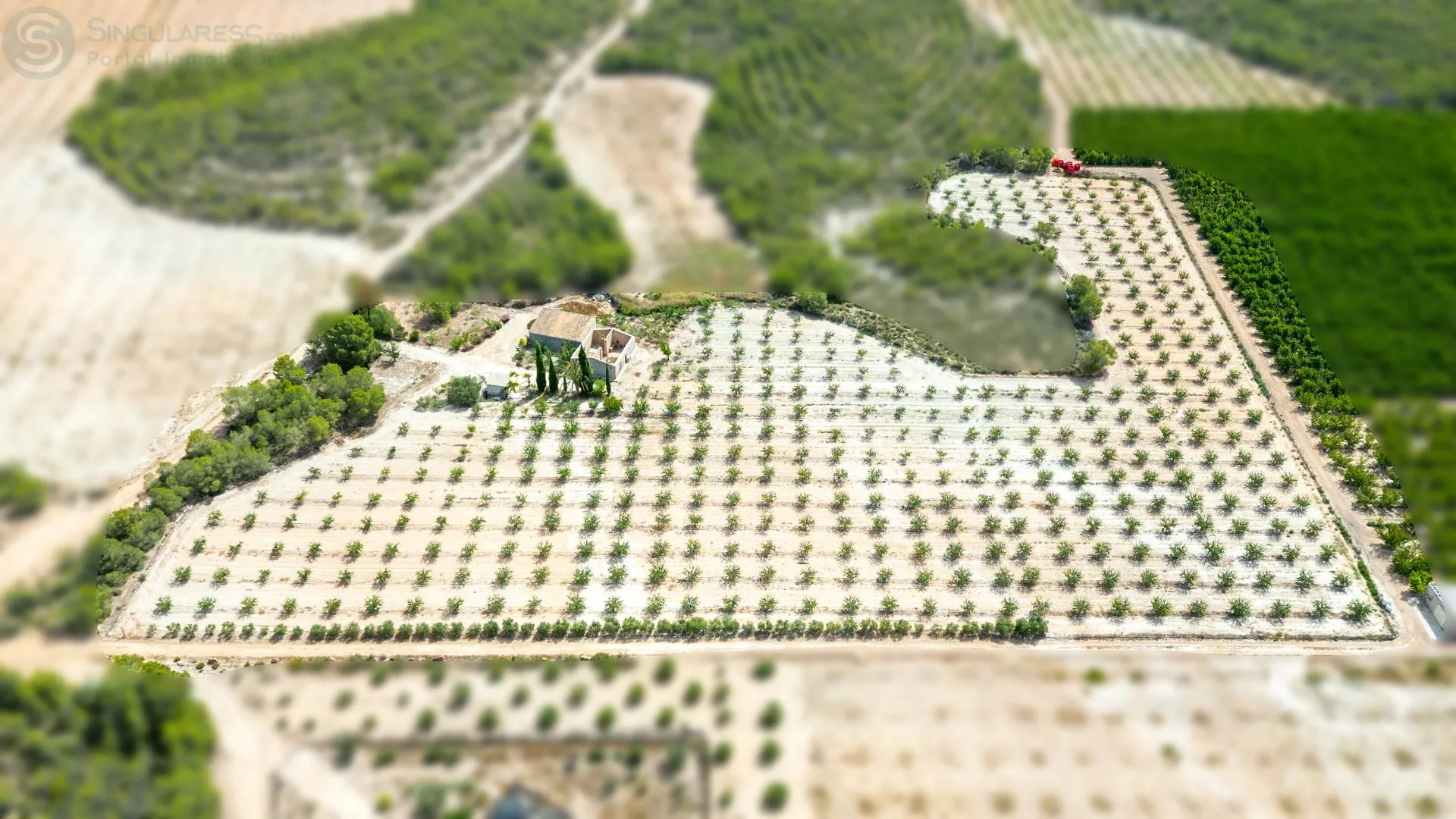 Comprar casa de 12200m² en Cieza